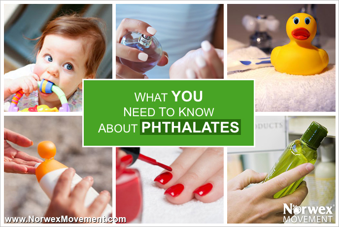 phthalates 1